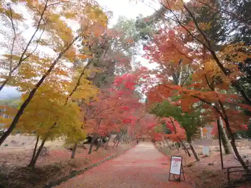 醍醐寺（上醍醐）(京都府)
