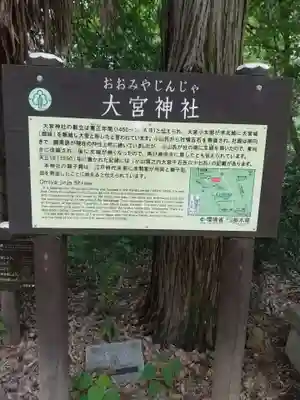 大宮神社(栃木県)