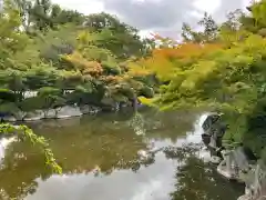 東寺（教王護国寺）(京都府)