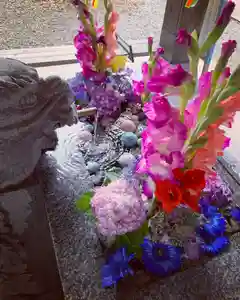 滑川神社 - 仕事と子どもの守り神の手水舎(2022年07月24日(日) 11時19分44秒投稿)