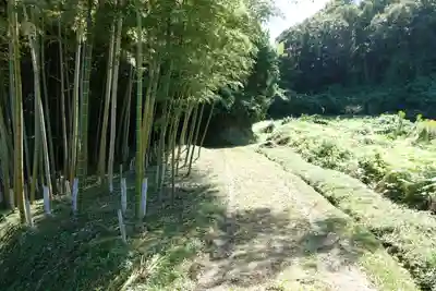 高田山口神社の自然
