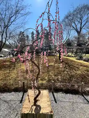 城南宮(京都府)