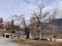 新宮八幡神社(兵庫県)