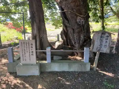 多祁御奈刀弥神社(徳島県)