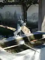 金蔵院の手水舎