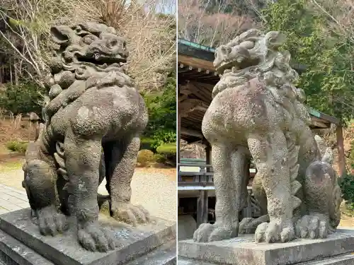 函館八幡宮の狛犬