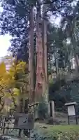 御岩神社の御朱印