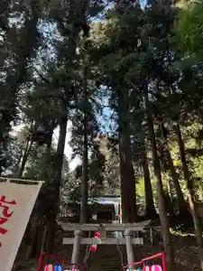 大宮温泉神社(栃木県)(2023年02月05日(日) 10時57分25秒投稿)