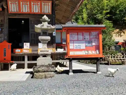 高屋敷稲荷神社の景色