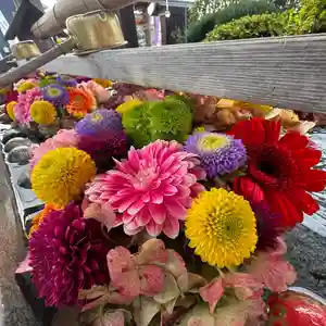 豊景神社(福島県)(2023年11月12日(日) 06時10分11秒投稿)
