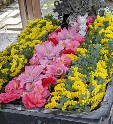 柳谷観音　楊谷寺(京都府)