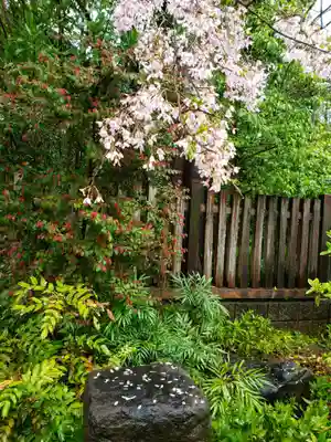 阿佐ヶ谷神明宮(東京都)