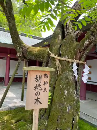 笠間稲荷神社の庭園