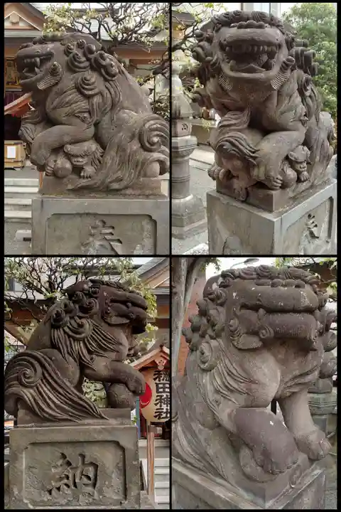 穏田神社の狛犬