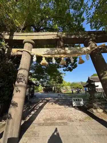 松榮神社の鳥居