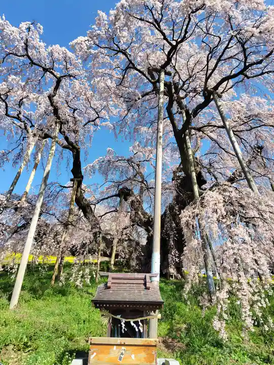 瀧桜神明宮(福島県)