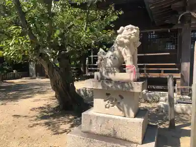 伊和都比売神社の狛犬