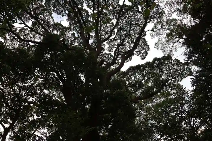 伊勢山皇大神宮(神奈川県)