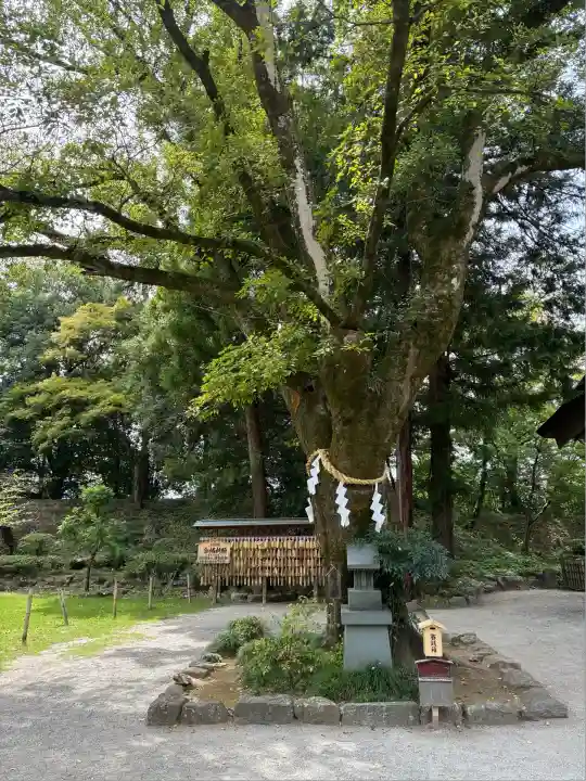 武田神社(山梨県)