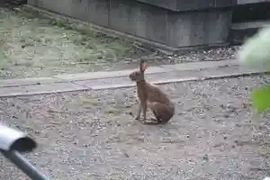 法性寺のお墓(2025年06月15日(日) 21時53分55秒投稿)