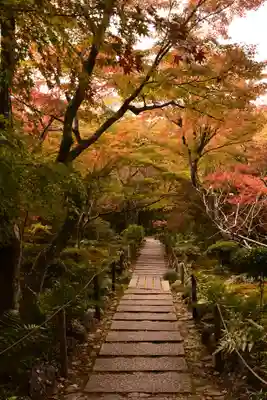 宝筐院(京都府)