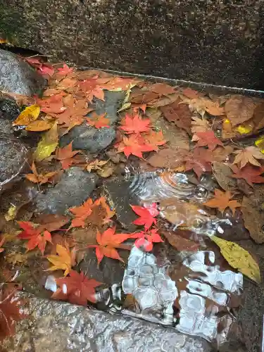 伏見稲荷大社　御膳谷奉拝所(京都府)