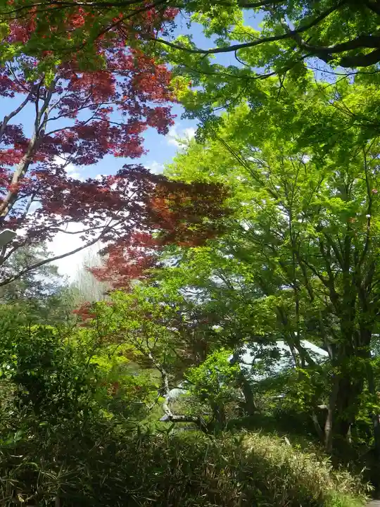 浄妙寺の自然