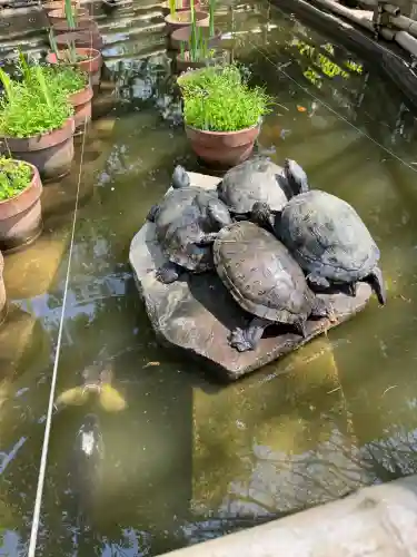 葛原岡神社の{uncategorized: "未分類", other: "その他", undefined: "問題あり", building: "その他建物", grave: "お墓", sacred_gate: "鳥居", guardian: "狛犬", statue: "像", buddha: "仏像", history: "歴史", nature: "自然", garden: "庭園", animal: "動物", pagoda: "塔", temizu: "手水舎", mountain_gate: "山門・神門", sanctuary: "本殿・本堂", subordinate: "末社・摂社", art: "芸術", scenery: "景色", jizo: "地蔵", ema: "絵馬", goshuin: "御朱印", omikuji: "おみくじ", items: "授与品その他", amulet: "お守り", goshuincho: "御朱印帳", eats: "食事", festival: "お祭り", votive_dance: "神楽", shichigosan: "七五三参", wedding: "結婚式", experience: "体験その他", initially: "初詣", around: "周辺", anti_infection: "感染症対策"}