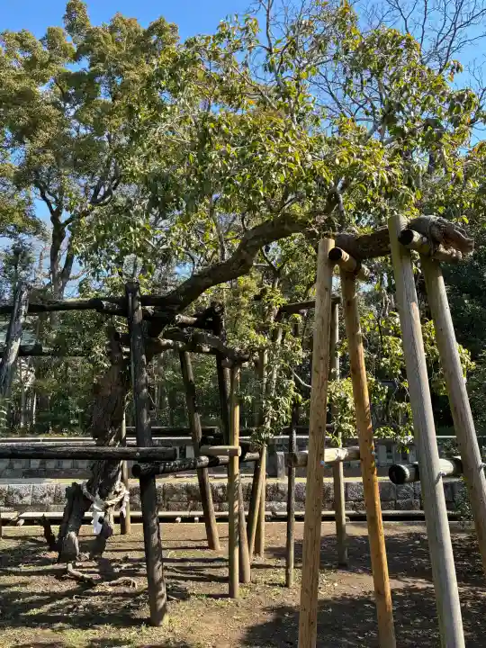 三嶋大社の{uncategorized: "未分類", other: "その他", undefined: "問題あり", building: "その他建物", grave: "お墓", sacred_gate: "鳥居", guardian: "狛犬", statue: "像", buddha: "仏像", history: "歴史", nature: "自然", garden: "庭園", animal: "動物", pagoda: "塔", temizu: "手水舎", mountain_gate: "山門・神門", sanctuary: "本殿・本堂", subordinate: "末社・摂社", art: "芸術", scenery: "景色", jizo: "地蔵", ema: "絵馬", goshuin: "御朱印", omikuji: "おみくじ", items: "授与品その他", amulet: "お守り", goshuincho: "御朱印帳", eats: "食事", festival: "お祭り", votive_dance: "神楽", shichigosan: "七五三参", wedding: "結婚式", experience: "体験その他", initially: "初詣", around: "周辺", anti_infection: "感染症対策"}