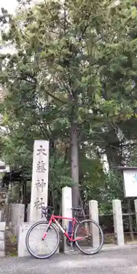 大藤神社(京都府)