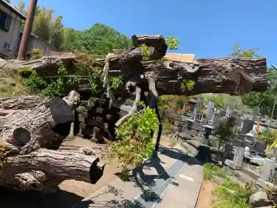 上澤寺のその他建物