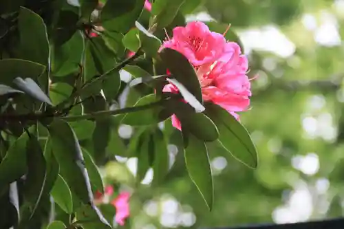 阿邪訶根神社の庭園