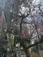 布多天神社の自然