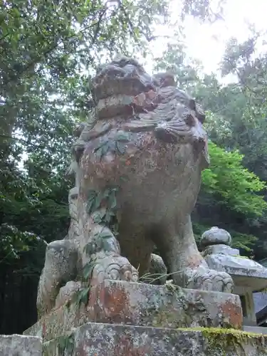 江文神社の狛犬