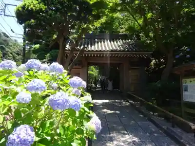 報国寺の山門・神門