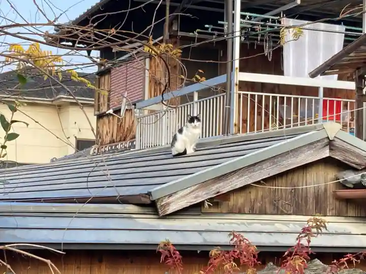 善名称院(真田庵)の動物