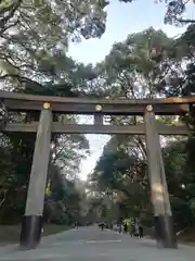 明治神宮の鳥居