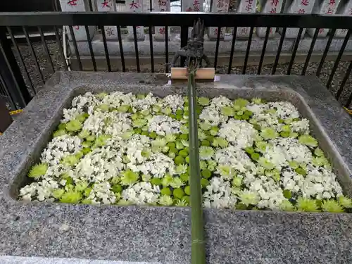 高円寺氷川神社(東京都)