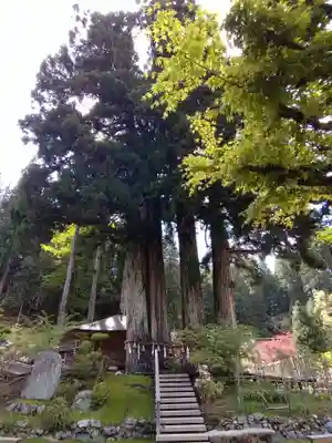 金剛三昧院(和歌山県)