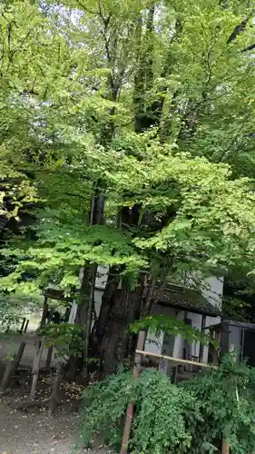 梨木神社(京都府)