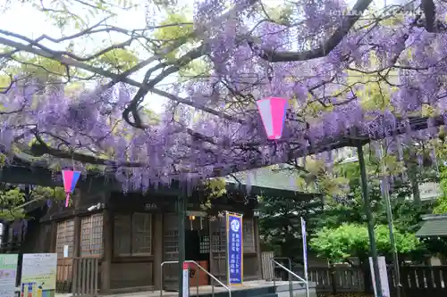 國領神社の自然