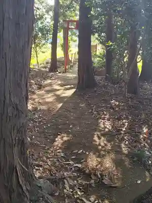 長良神社（野辺町）(群馬県)