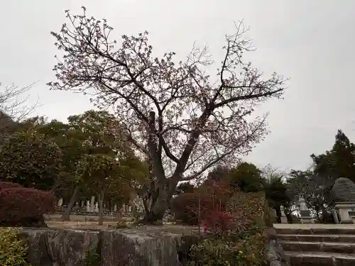 神咒寺の{uncategorized: "未分類", other: "その他", undefined: "問題あり", building: "その他建物", grave: "お墓", sacred_gate: "鳥居", guardian: "狛犬", statue: "像", buddha: "仏像", history: "歴史", nature: "自然", garden: "庭園", animal: "動物", pagoda: "塔", temizu: "手水舎", mountain_gate: "山門・神門", sanctuary: "本殿・本堂", subordinate: "末社・摂社", art: "芸術", scenery: "景色", jizo: "地蔵", ema: "絵馬", goshuin: "御朱印", omikuji: "おみくじ", items: "授与品その他", amulet: "お守り", goshuincho: "御朱印帳", eats: "食事", festival: "お祭り", votive_dance: "神楽", shichigosan: "七五三参", wedding: "結婚式", experience: "体験その他", initially: "初詣", around: "周辺", anti_infection: "感染症対策"}