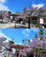 津観音(三重県)