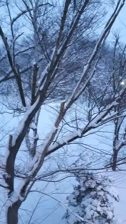 新琴似神社の周辺