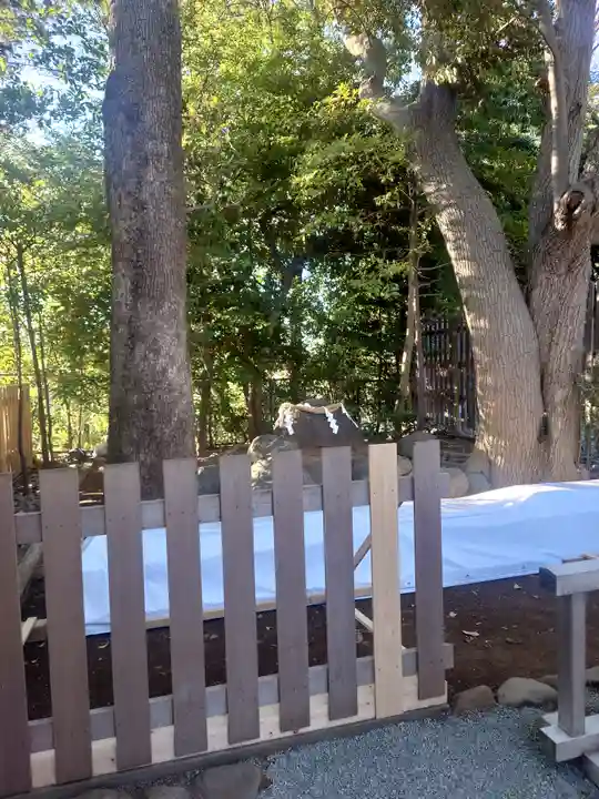 伊勢山皇大神宮(神奈川県)