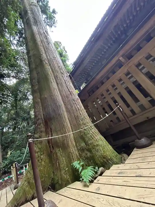 鹿島神宮(茨城県)