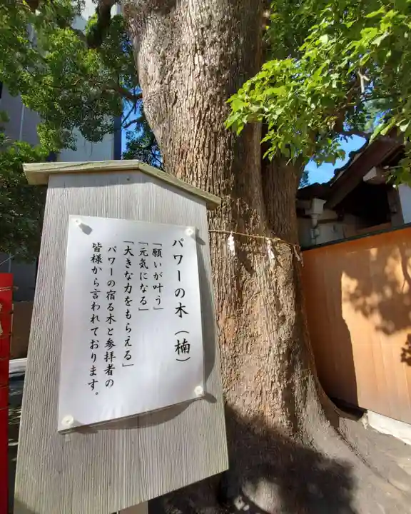 菅生神社の歴史