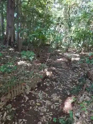 氷川女體神社の周辺