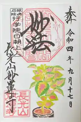 コウリス　にしきじそ